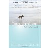 The Untethered Soul